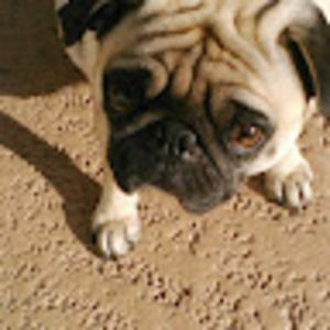 Meet your Posher, Lori